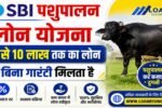 SBI Animal Husbandry Loan Scheme
