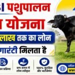 SBI Animal Husbandry Loan Scheme