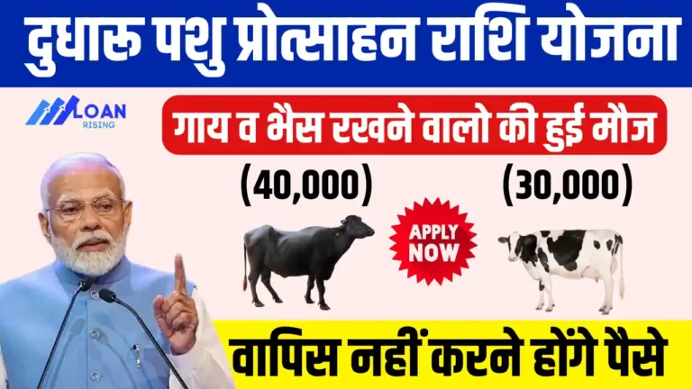 Cattle and Murrah Development Yojana