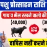 Cattle and Murrah Development Yojana