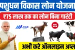 Pasudhan Vikas Loan Yojana Apply Online