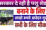 Pashu Shed Loan Scheme
