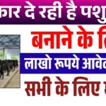 Pashu Shed Loan Scheme