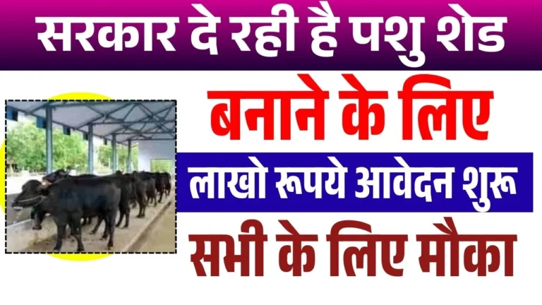 Pashu Shed Loan Scheme