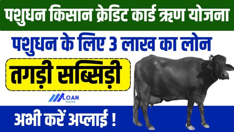Pashudhan Kisan Credit Card Loan Scheme