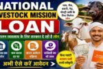 National Livestock Mission Loan