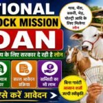 National Livestock Mission Loan