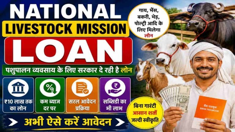 National Livestock Mission Loan